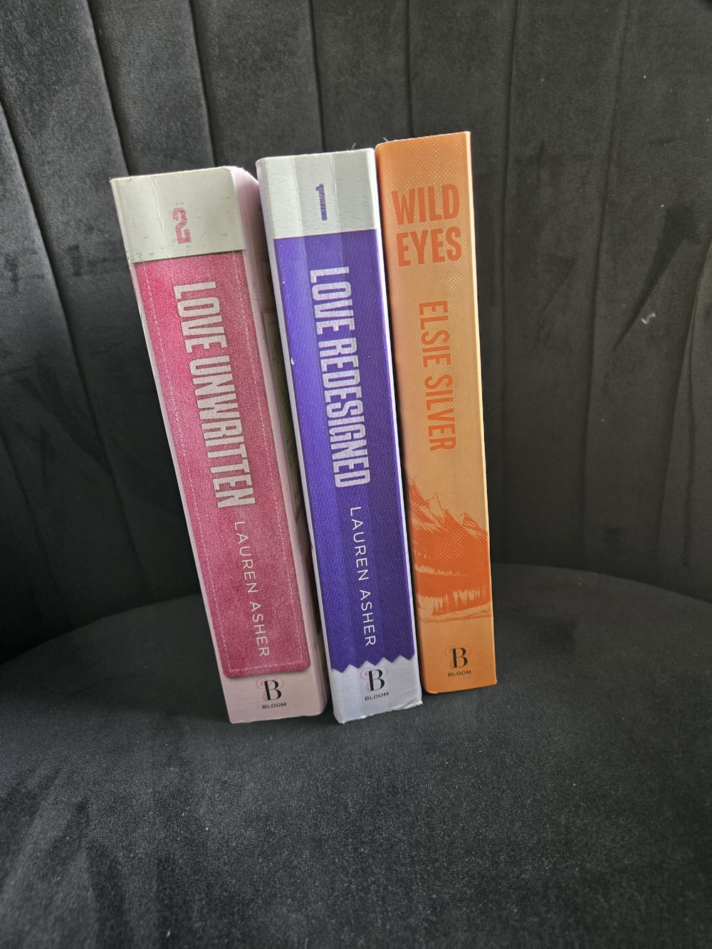 Set of 2 Romance novels By Lauren Asher And Wild Eyes By Elsie Silver
